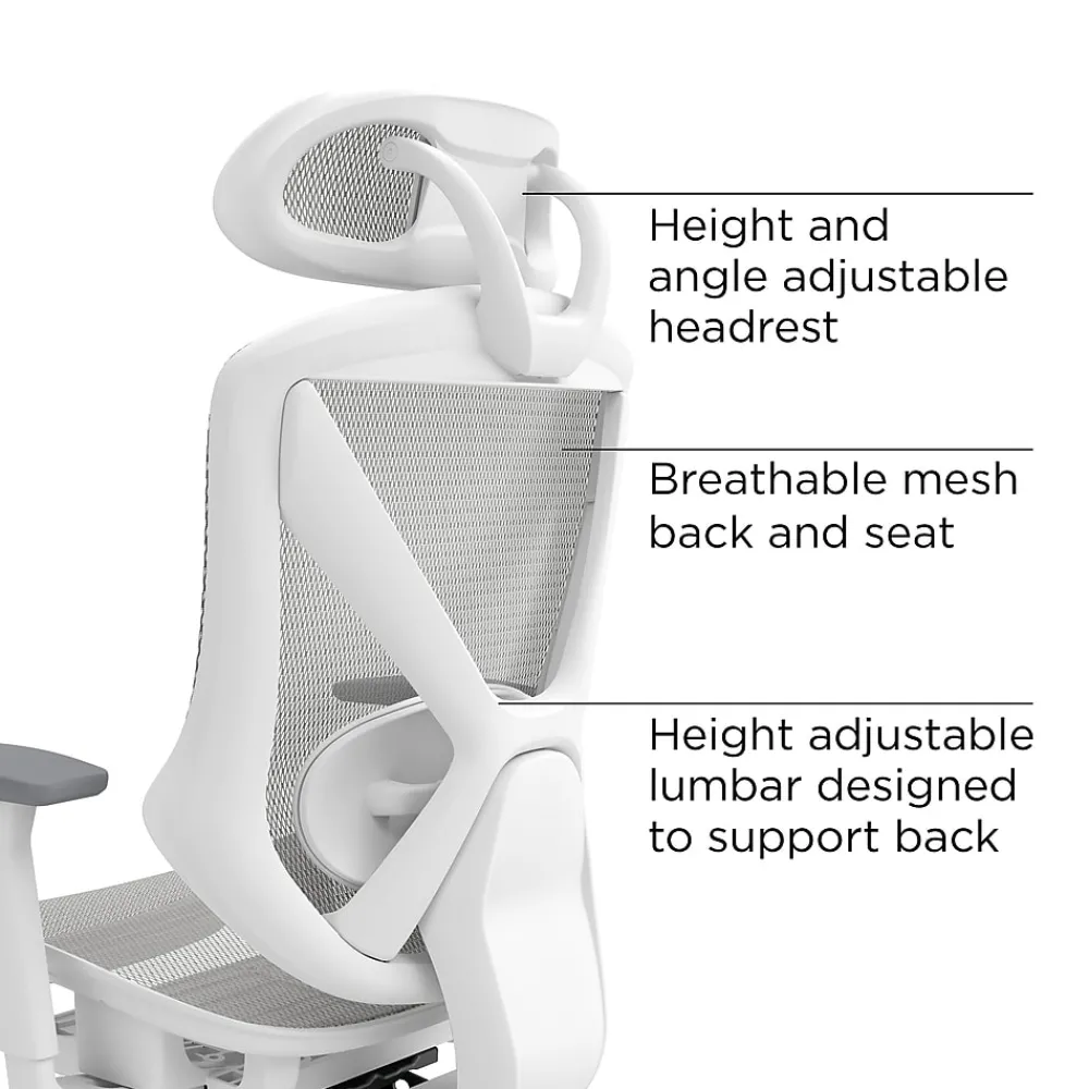 Ergonomic Chairs*Staples Dexley Ergonomic Mesh Swivel Task Chair, (UN61365) Gray