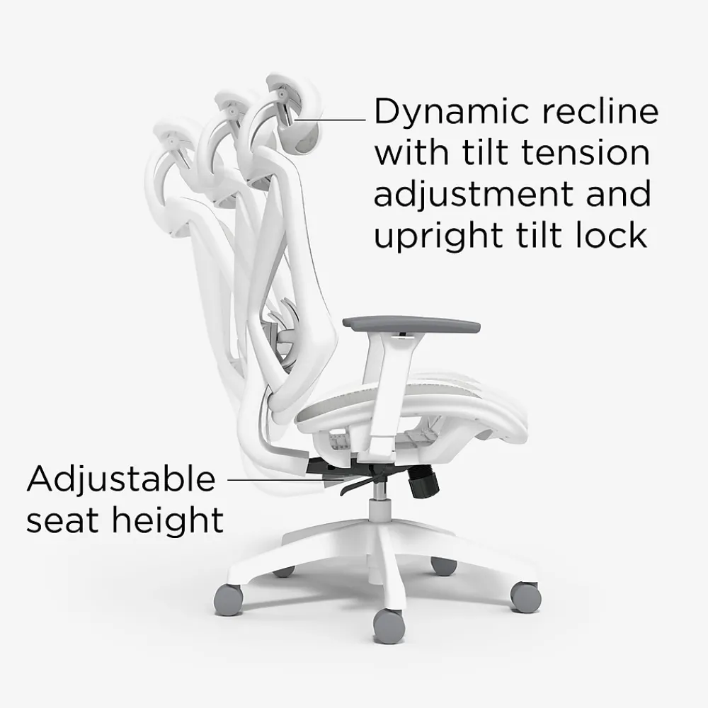 Ergonomic Chairs*Staples Dexley Ergonomic Mesh Swivel Task Chair, (UN61365) Gray