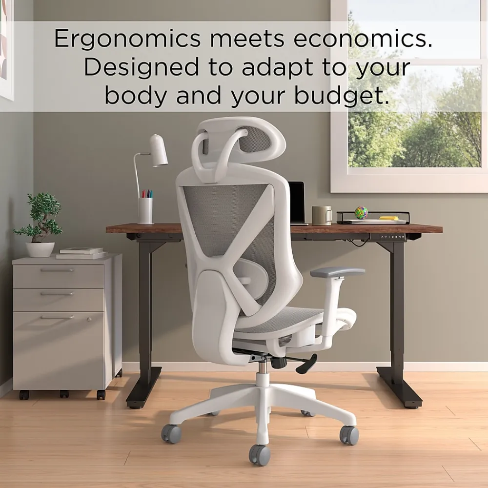 Ergonomic Chairs*Staples Dexley Ergonomic Mesh Swivel Task Chair, (UN61365) Gray