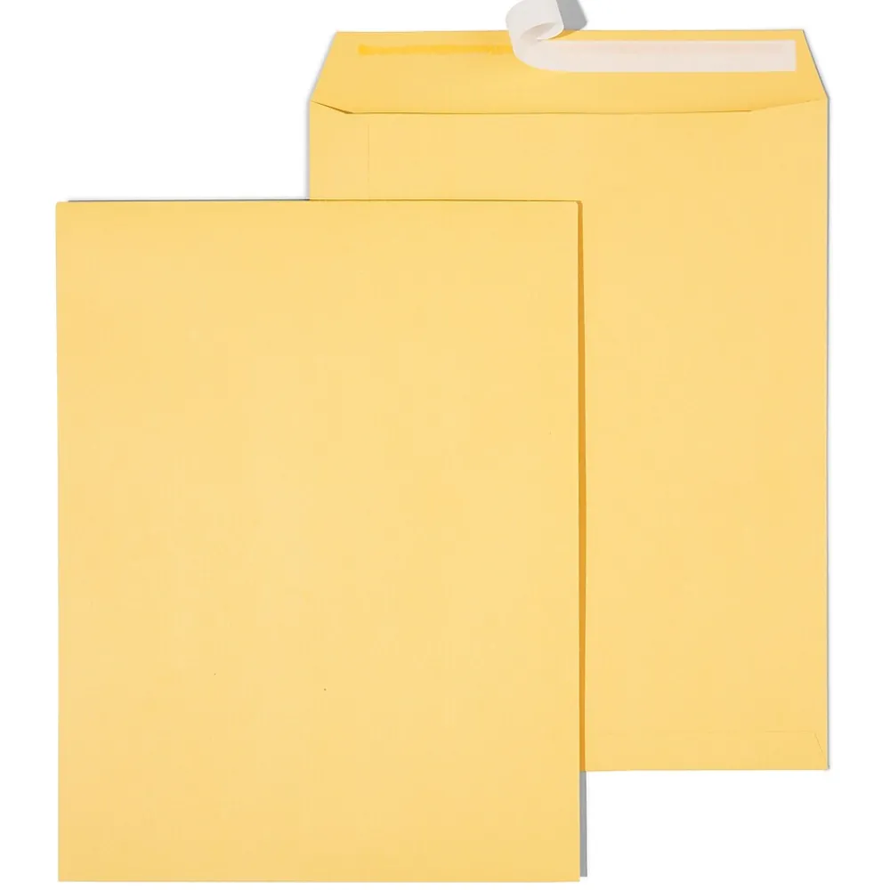 Sale Staples EasyClose Kraft Catalog Envelopes, 10"L x 13"H, Brown, 250/Box (479889/14238)