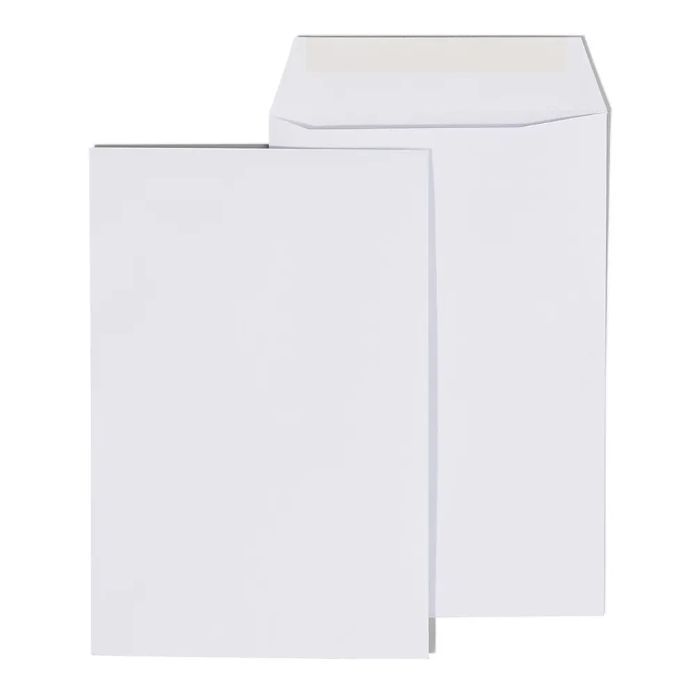Discount Staples Economy Gummed Catalog Envelopes, 6" x 9", White, 250/Box (50303T)