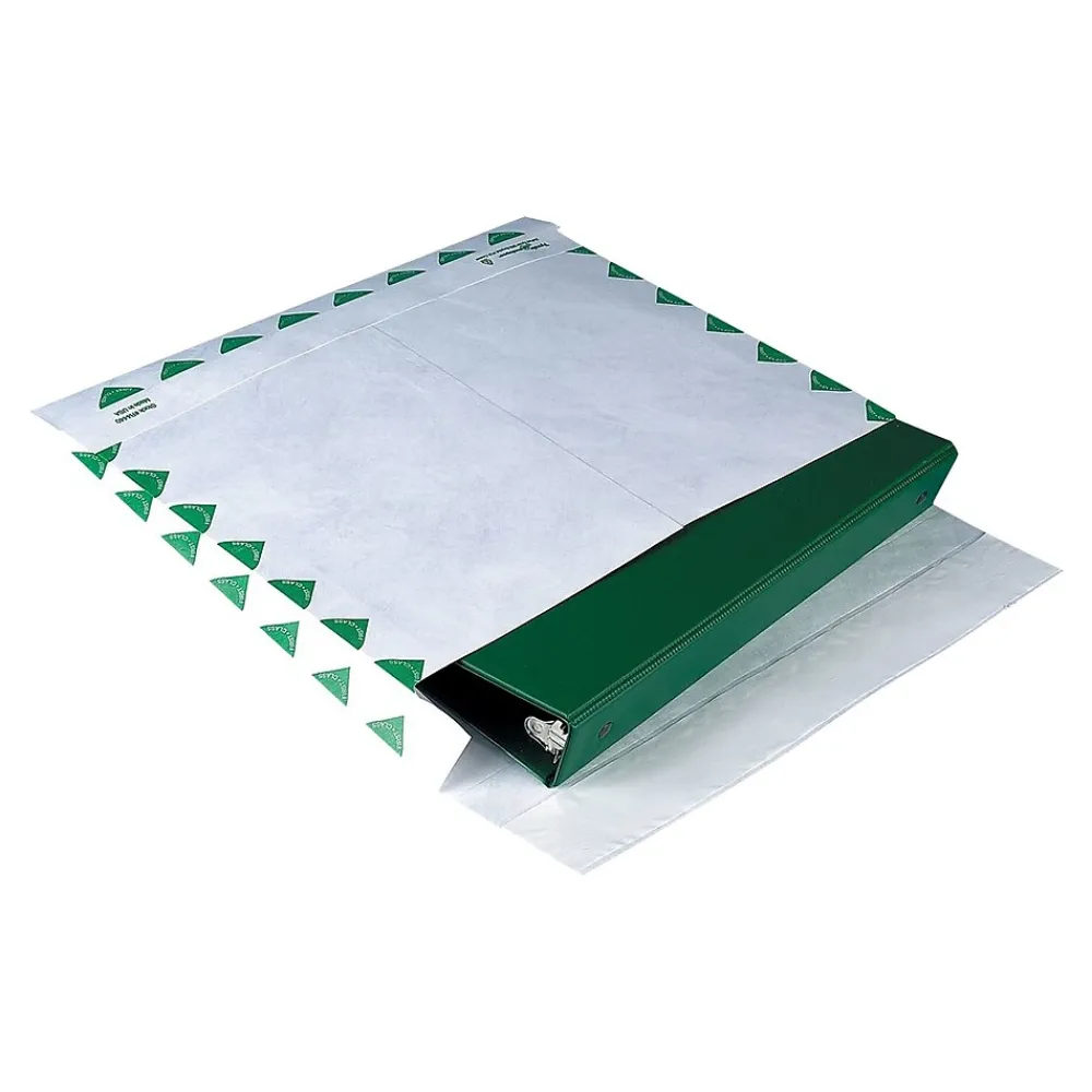 New Staples First Class Tyvek EasyClose Catalog Envelopes, 13" x 10", White, 100/Box (SPL534651)