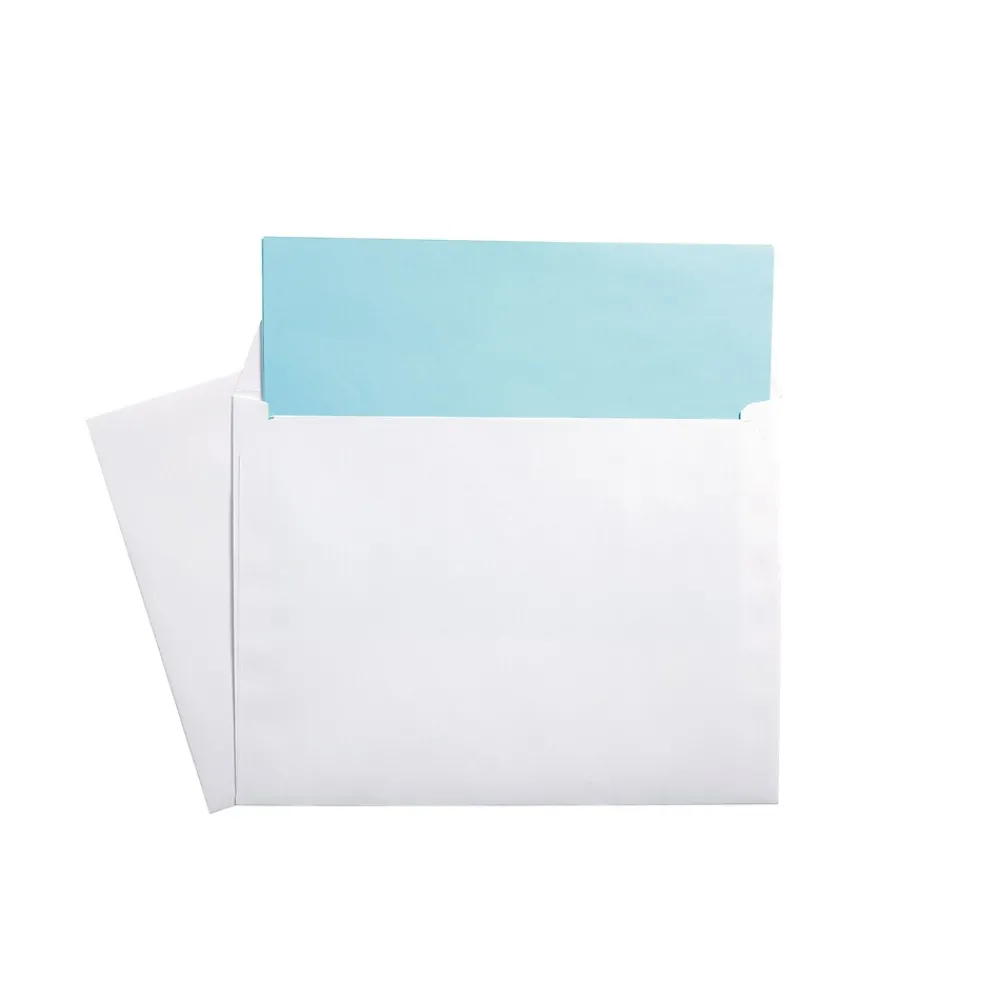 Clearance Staples Gummed Booklet Envelopes, 9" x 12", White, 100/Box (473009/19307)