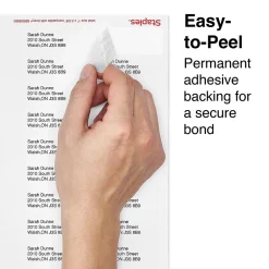 Clearance Staples Laser/Inkjet Address Labels, 1 X 2 5/8