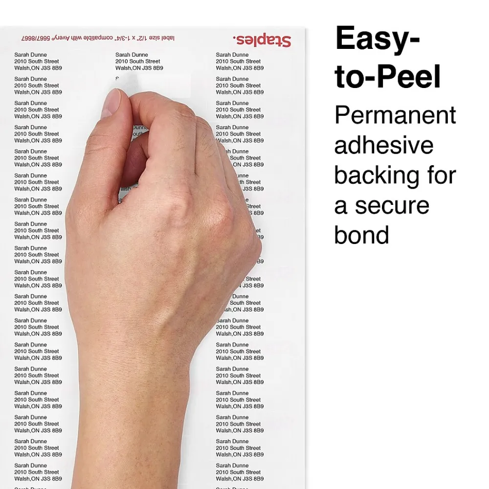 Best Staples Laser/Inkjet Address Labels, 1/2" x 1 3/4", Clear, 80 Labels/Sheet, 25 Sheets/Pack, 2000 Labels/Box (18087/SCNJ090)