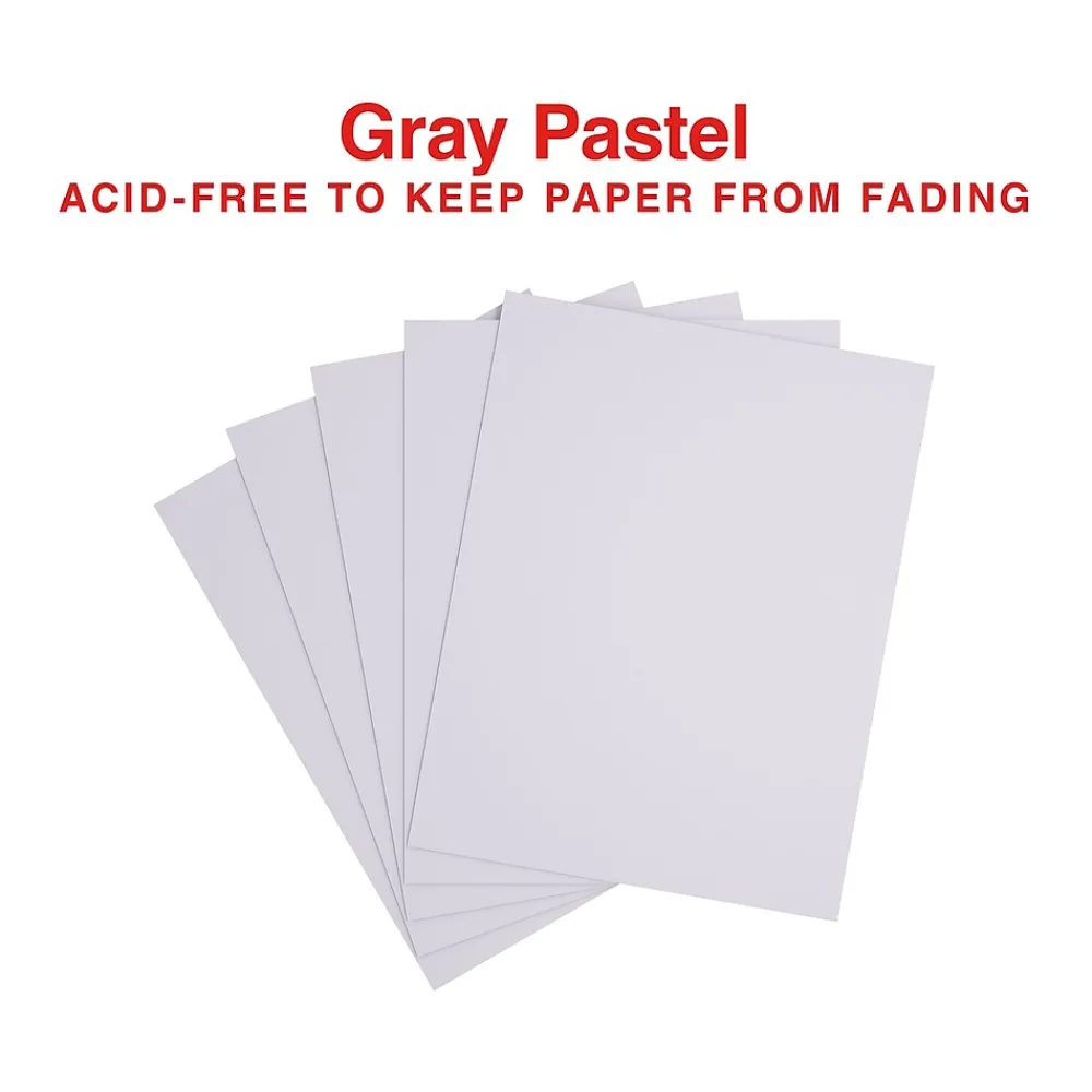 Multipurpose Paper*Staples Pastel 30% Recycled Color Copy Paper, 20 lbs., 8.5" x 11", , 500/Ream (14785) Gray