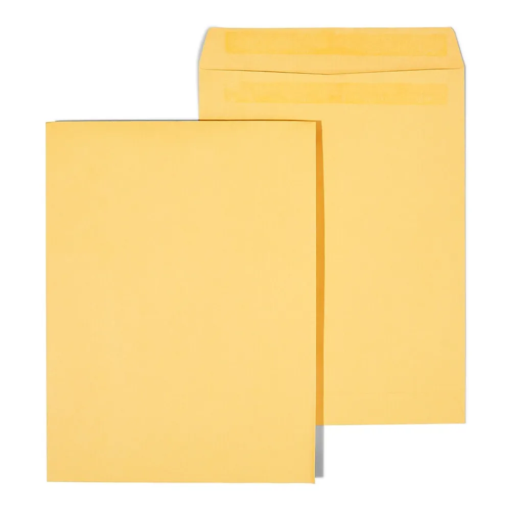 Sale Staples Self Seal Kraft Catalog Envelopes, 9"L x 12"H, Brown, 250/Box (486931/14245)