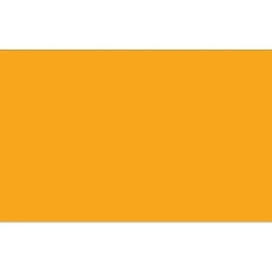Labels|Tape Logic 3" x 9" Rectangle Inventory Label, Fluorescent Orange, 250/Roll