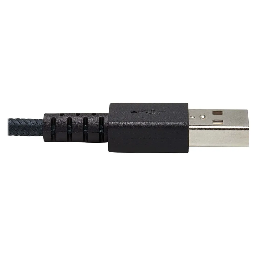 Tripp Lite 10' USB A to C Cable, Gray (U038-010-GY-MAX)