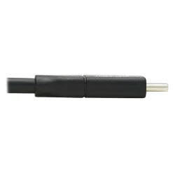 Tripp Lite 10' USB C Power Cable, Black (U040-C3M-C-5A)