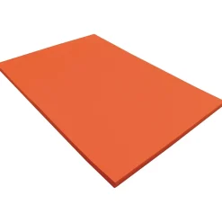Construction Paper*Pacon Tru-Ray 9
