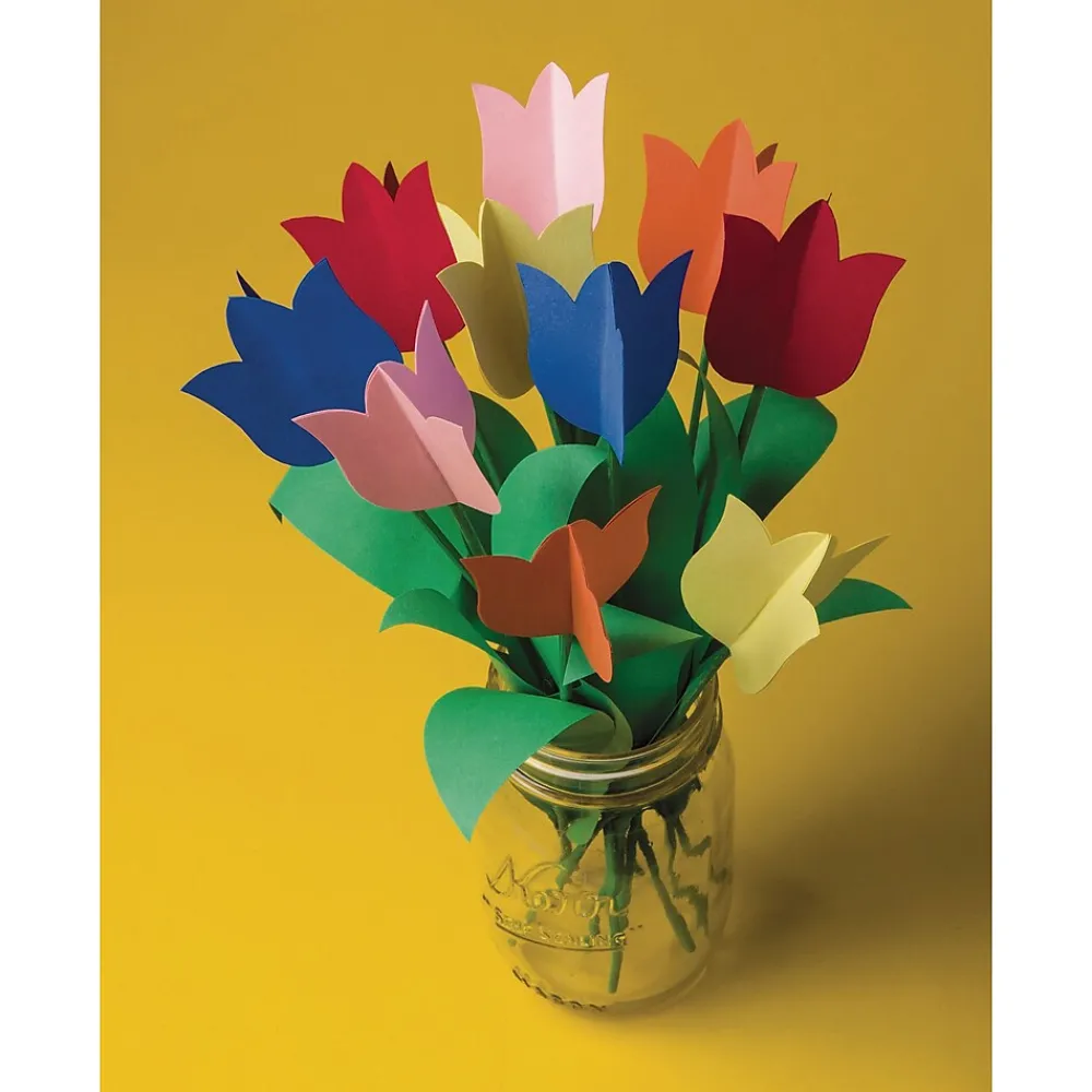 Construction Paper*Tru-Ray 12" x 18" Construction Paper, Assorted Colors, 50 Sheets/Pack (P103063)