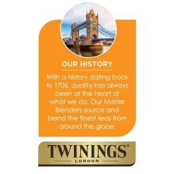 Twinings Cold Brewed Mint Tea Bags, 20/Box (F07413)