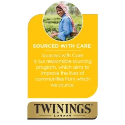 Twinings Cold Brewed Mint Tea Bags, 20/Box (F07413)