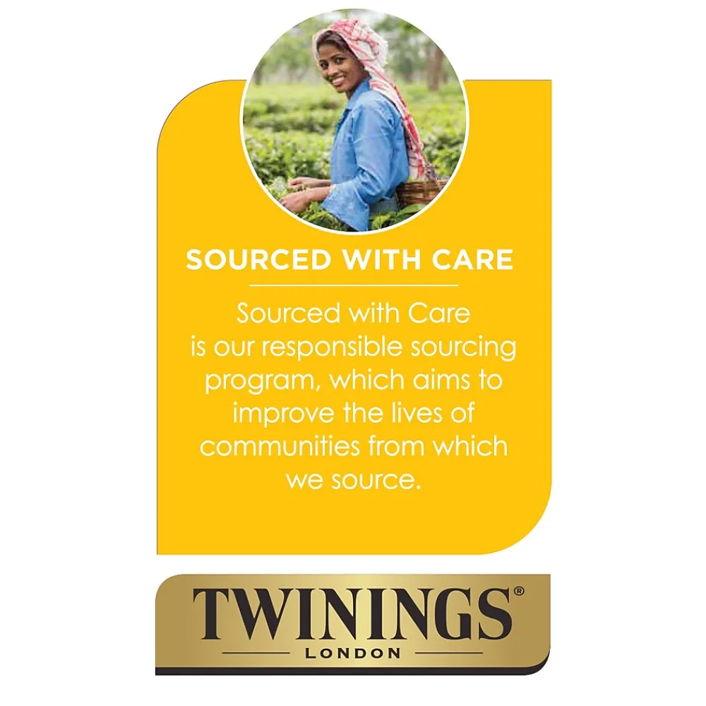 Twinings Cold Brewed Mint Tea Bags, 20/Box (F07413)