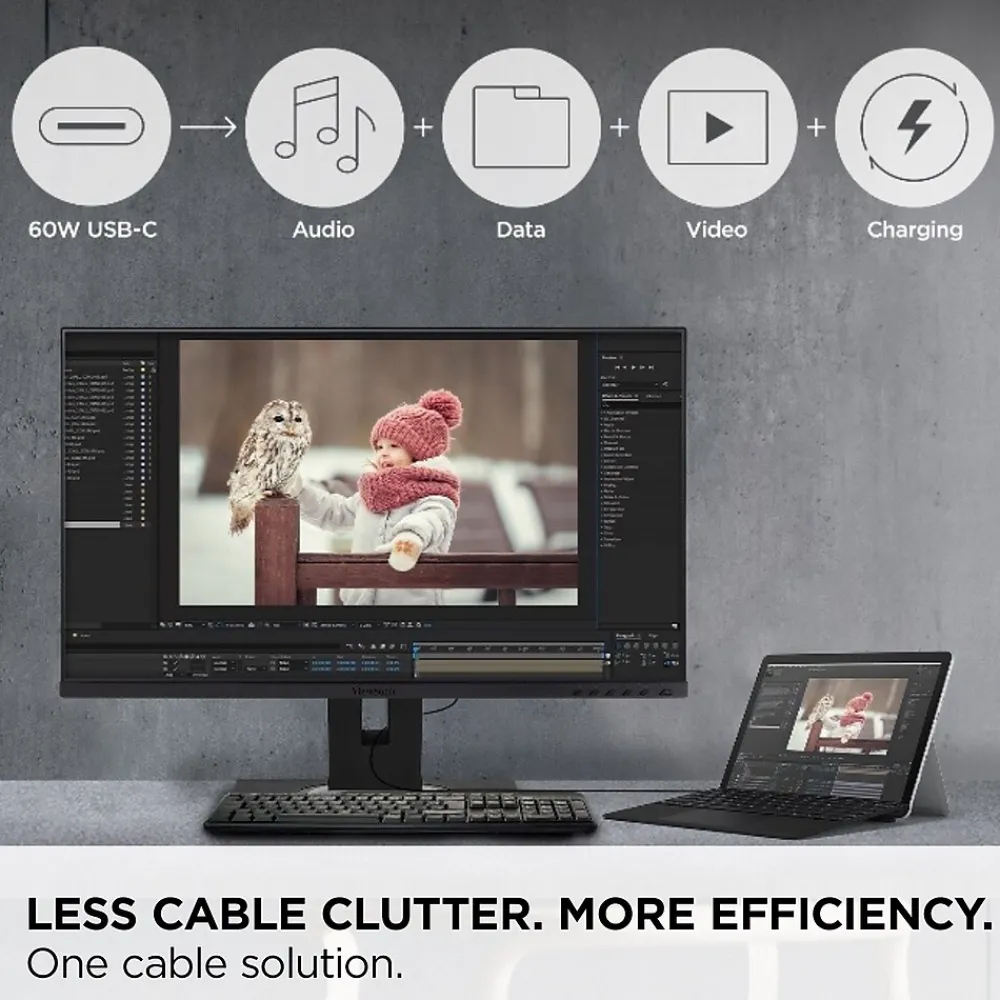 Online ViewSonic 24" 60Hz LED Monitor, Black (VG245 )