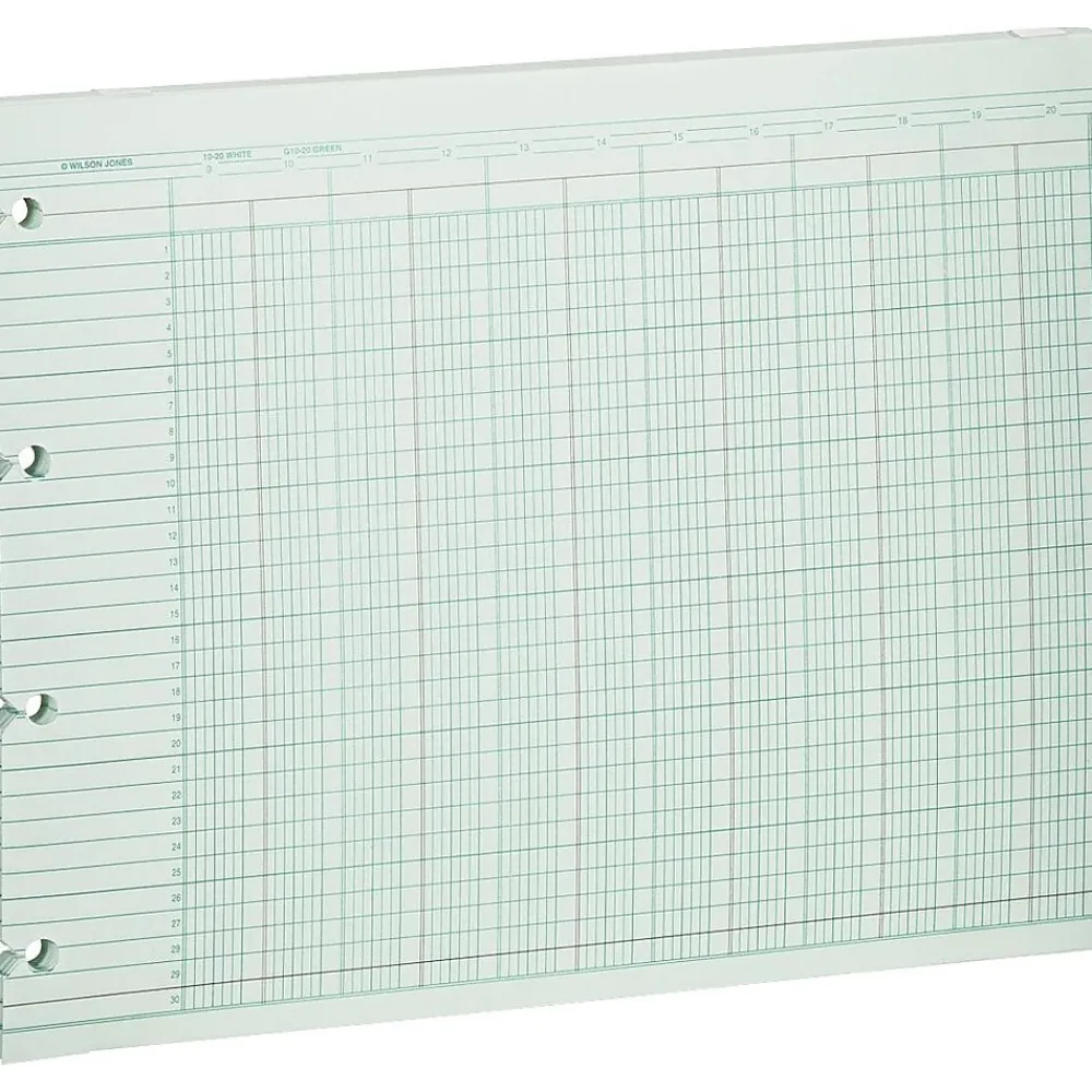 Accounting & Record Journals*Wilson Jones Columnar Sheets, Ledger Paper, Ruled, 30 Lines, 20 Columns, Green Paper, 9 1/4" x 11 7/8", 100/Pk