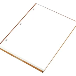Accounting & Record Journals*Wilson Jones Ledger Paper, 8 1/2" x 11", White, 100 Sheets/Box (WLJ90310)
