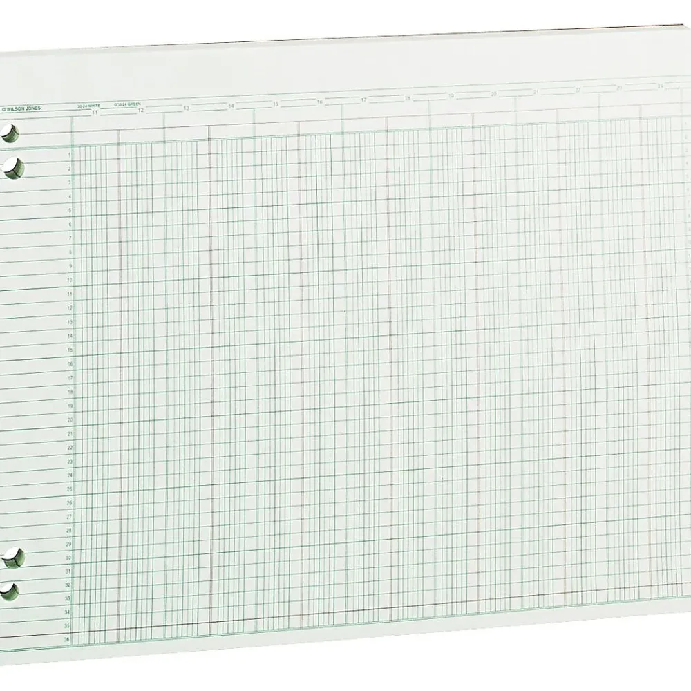 Accounting & Record Journals*Wilson Jones Ledger Paper, 24 Columns, 11" x 14", Green, 100 Sheets (WLJG3024)