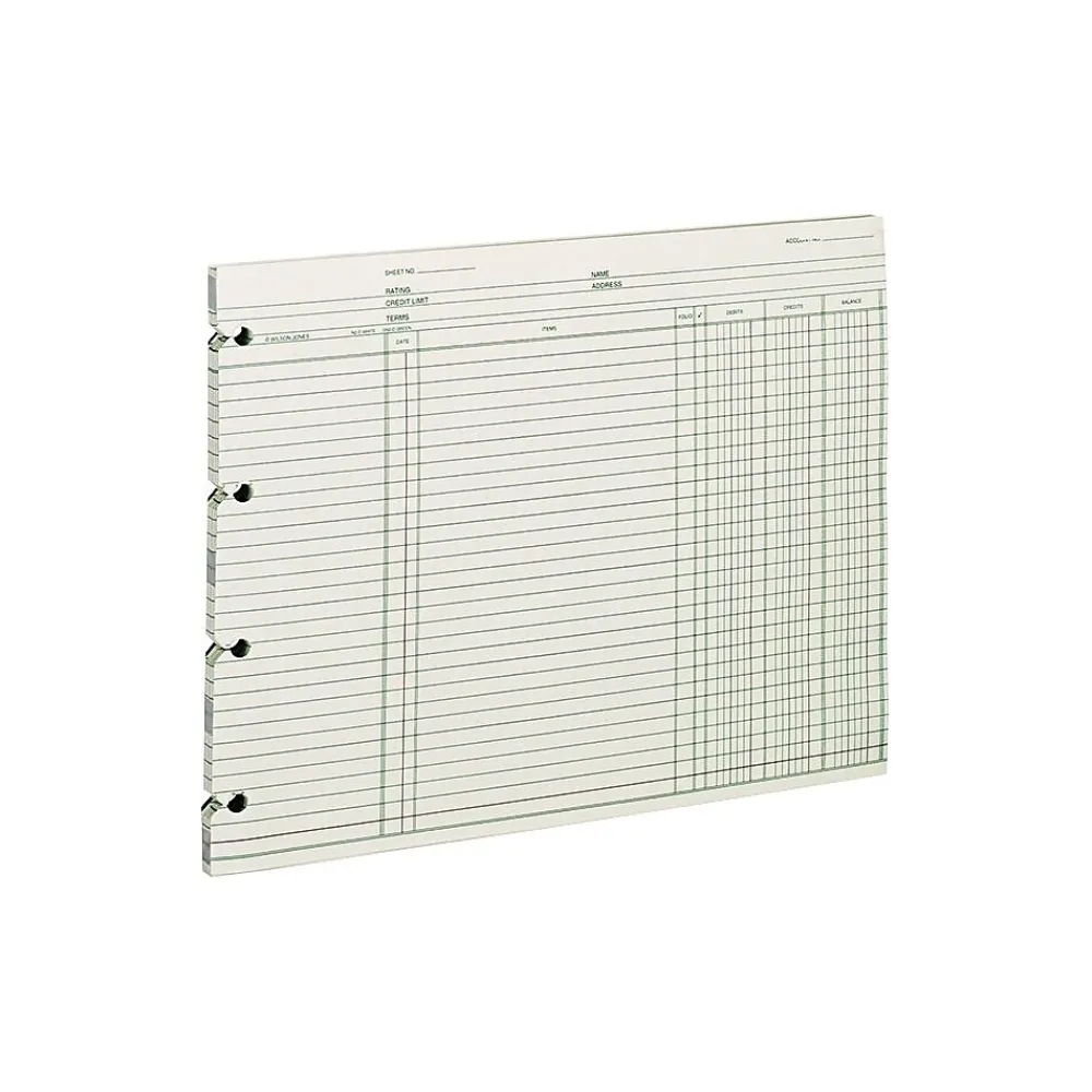 Accounting & Record Journals*Wilson Jones Ledger Paper, Balance Ledger, 9 1/4" x 11 7/8", Green, 100 Sheets (WLJGN2D)