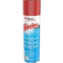 Foaming Glass Cleaner Aerosol, 19.7 Oz. (333813)<Windex Discount