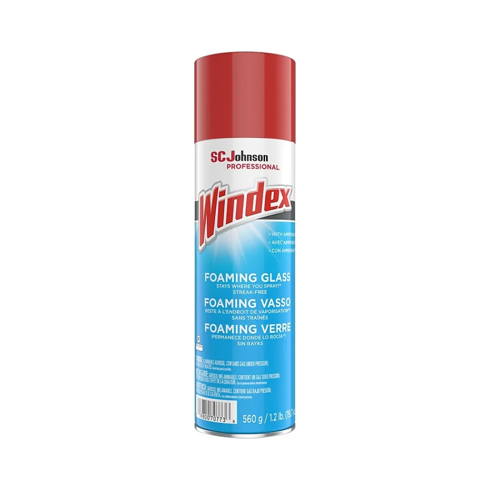 Foaming Glass Cleaner Aerosol, 19.7 Oz., 6/Carton (333813CT)<Windex Discount