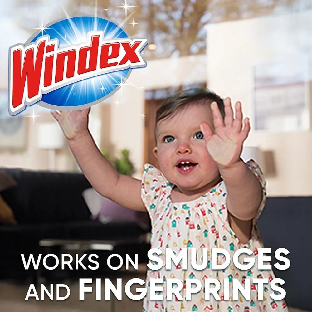 Glass & More Cleaner with Ammonia-D, Unscented, 5 gal. Bag-in-Box Dispenser (696502)<Windex Sale