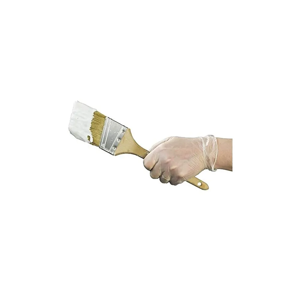Powder Free Vinyl Gloves, Latex Free, Clear, Large, 100/Box, 10 Boxes/Carton (GP46100-CC)<X3 Discount