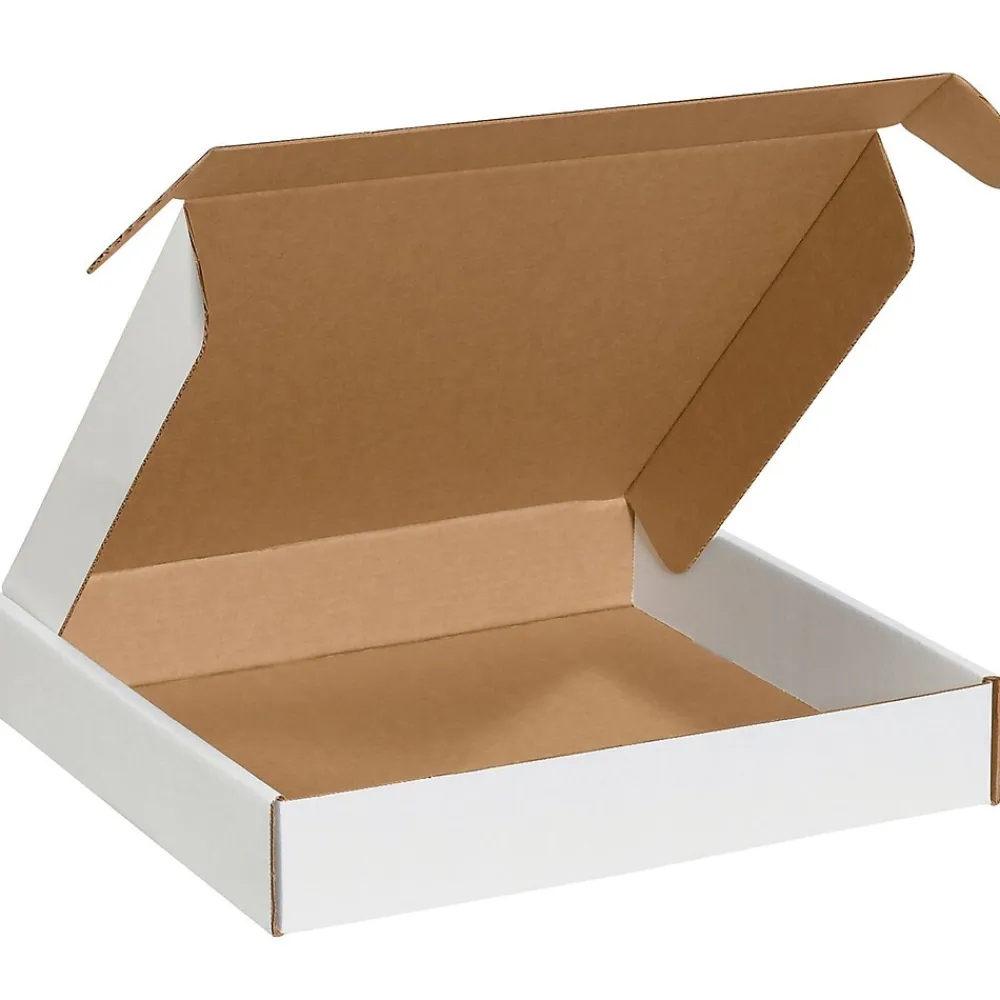 Hot Partners Brand 20"x20"x4" Deluxe Literature Mailers, 25/Bundle (MFL20204)
