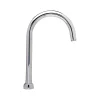 Zurn AquaSpec Gooseneck Spout, Center Line "B" (G67852)